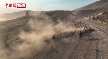 新疆阿勒泰：場面震撼！移民管理警察化身“牧羊人”一路守護
