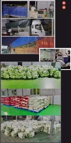 贵州民投集团携手清镇市供销社保供守护30万人的“菜篮子”