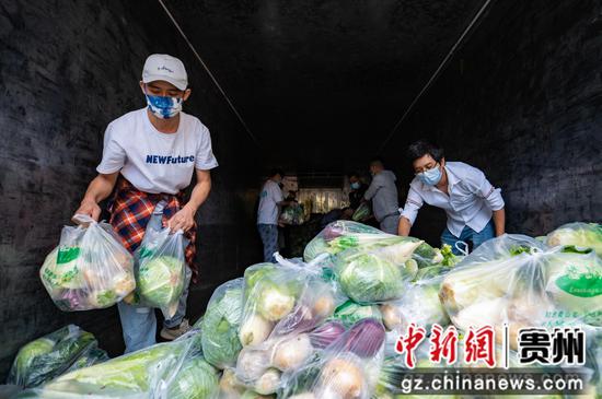 2022年9月8日，在贵州省遵义市汇川区农投公司，工作人员对新鲜蔬菜进行装箱，运往贵阳。田锦泓