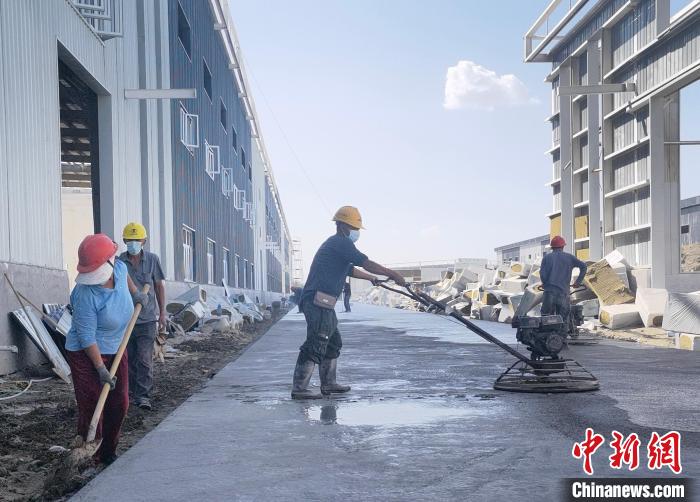 新疆沙雅县提升营商环境“软实力”助企业发展跑出“加速度”