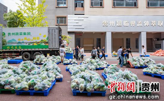 2022年9月8日，在贵州省遵义市汇川区农投公司，工作人员对新鲜蔬菜进行装车，运往贵阳。田锦泓