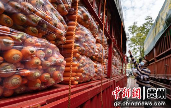 2022年9月8日，在贵州省遵义市汇川区农投公司，工作人员将蔬菜进行装车，运往贵阳。田锦泓