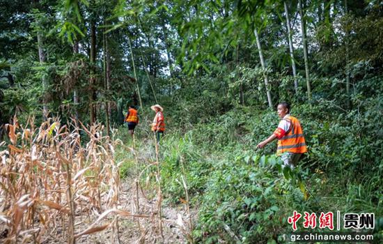 贵州铜仁万山区：强化森林防火 织牢森林安全网
