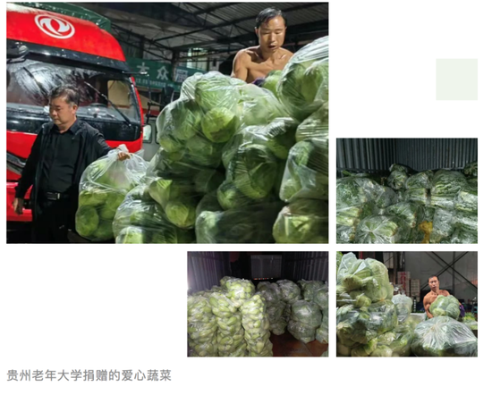 贵州老年大学干部职工捐赠爱心蔬菜助力抗击疫情