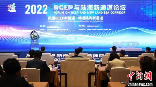 20日，《区域全面经济伙伴关系协定》（RCEP）与陆海新通道论坛在新疆乌鲁木齐召开。　王小军 摄