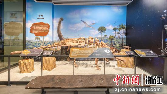浙江自然博物院“24小时博物馆”场馆内景。 浙江自然博物院 提供