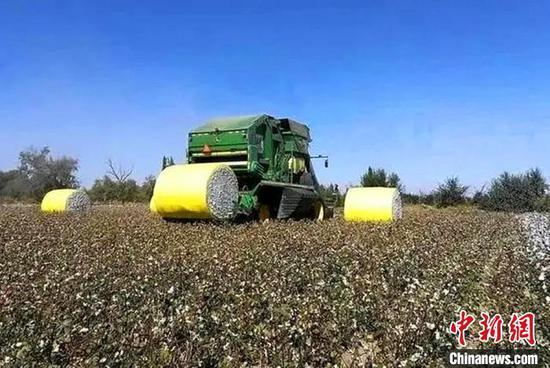 新疆兵团种植的千余万亩棉花采收全程机械化作业。　谭存正 摄
