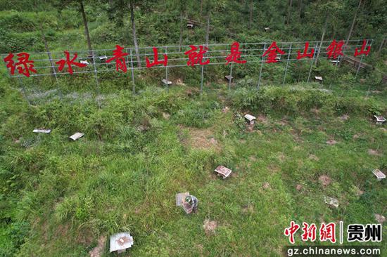 江口县太平镇太平社区国家储备林建设示范基地