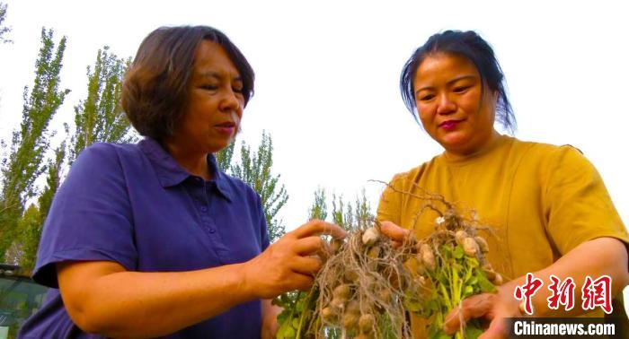 阿克蘇市農業農村局邀請種植專家全程對種植戶進行技術指導培訓　張勇　攝