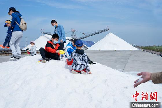 资料图为游客在天津长芦汉沽盐场体验“盐业风情游”。 中新社记者 佟郁 摄