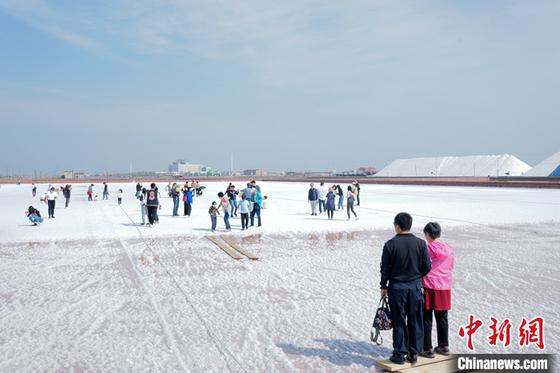 资料图为游客在天津长芦汉沽盐场体验“盐业风情游”。 中新社记者 佟郁 摄