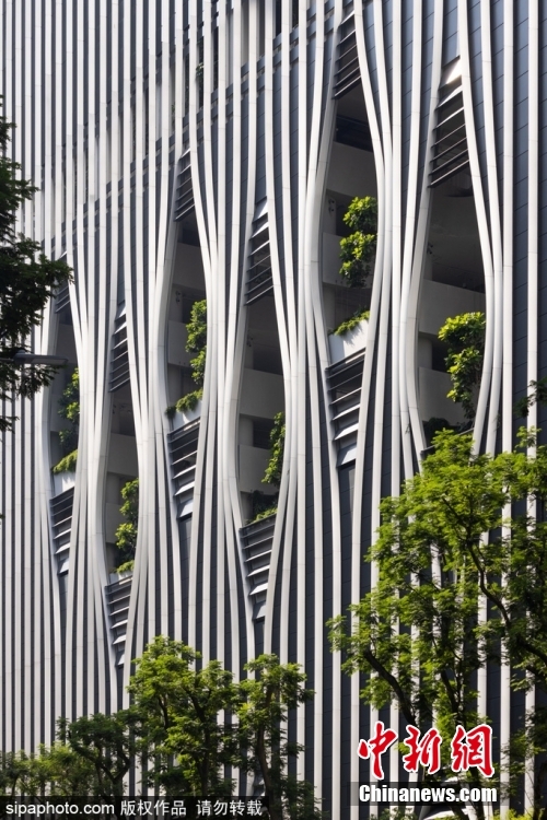 9月28日消息，近日，新加坡新建了一座280米高的摩天大楼，上面种满了绿洲般的植被。在多个立面上，组成建筑外部的垂直元素被拉开，让人们可以从基地、核心和屋顶“空中花园”看到盛开的绿色绿洲。图片来源：Sipaphoto版权作品 禁止转载