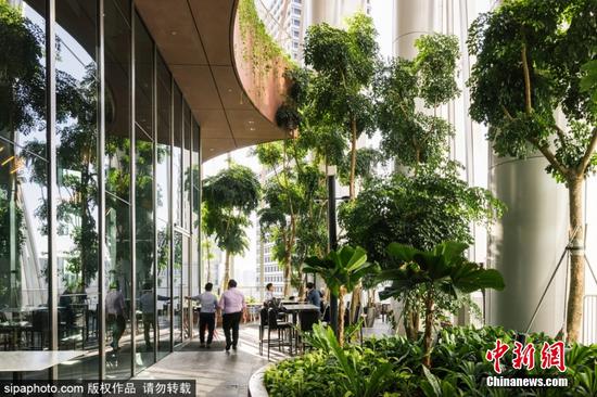 月28日消息，近日，新加坡新建了一座280米高的摩天大楼，上面种满了绿洲般的植被。在多个立面上，组成建筑外部的垂直元素被拉开，让人们可以从基地、核心和屋顶“空中花园”看到盛开的绿色绿洲。图片来源：Sipaphoto版权作品 禁止转载