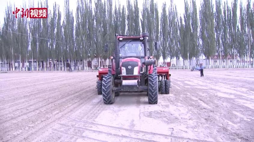 新疆喀什地区350万亩冬小麦开播