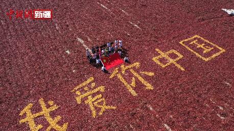新疆：千亩红辣椒做背景祝福祖国