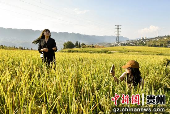 10月1日，游客在大方县小屯梯田摄影打卡。毛道安摄