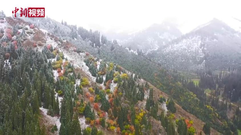 新疆多浪峽谷：深秋遇初雪