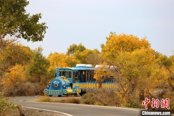 新疆伊吾47.6萬畝原始胡楊林進入一年最美的季節