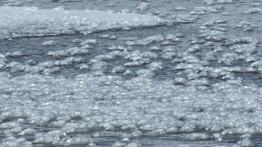 新疆北部：烏希里克濕地冰花“盛開”