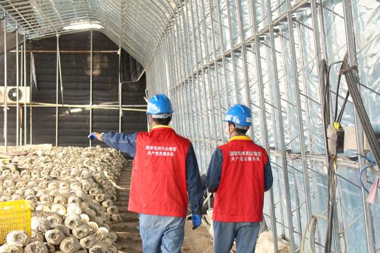 国网乌鲁木齐供电公司党员服务队员在蘑菇大棚检查用电设备，保障用电安全。