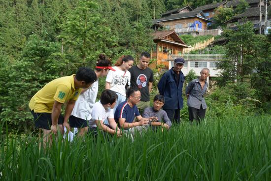 台江县科技特派员将培训课堂搬到田间地头，向群众讲解水稻防治病虫灾害。邰春摄