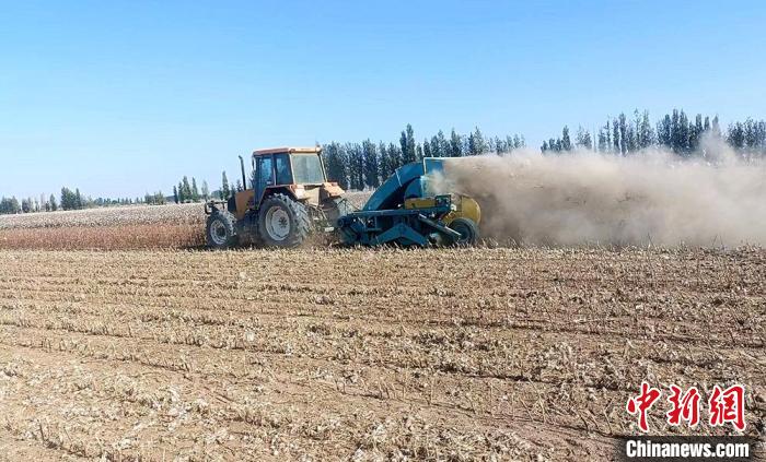 新疆兵團：持續開展農田殘膜回收為耕地“排毒”