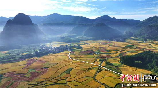 图为10月22日，无人机拍摄的德保县足荣镇足荣村金色的稻田。陈仁宝摄