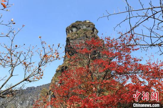 贵州梵净山：色彩斑斓秋意浓
