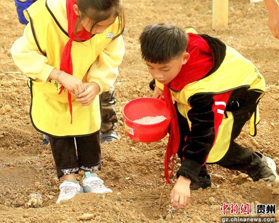 10月25日，贵州省施秉县甘溪乡甘溪小学的学生们在望城研学实践基地体验农耕。