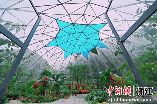 美丽温州体验地“织绿成网” 成为美丽浙江温州新元素
