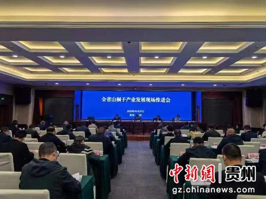 “十四五“期间 ” 贵州省将发展山桐子产业基地100万亩以上