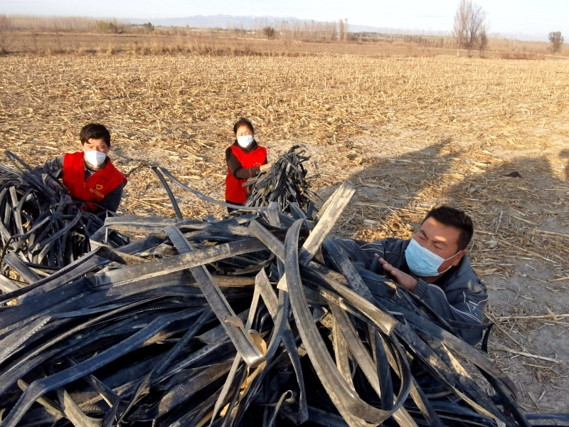 11月1日，齐格勒克村“三秋支农服务队”队员与种植户一起装车拉运废旧滴灌带。