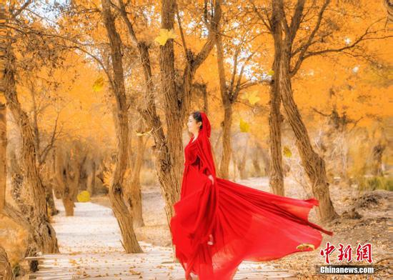 在喀什地区巴楚县红海景区内，身着红衣的女子穿行于胡杨林中，更加衬托出原始胡杨之美。 文/朱景朝 图/艾山江·玉苏甫卡地尔