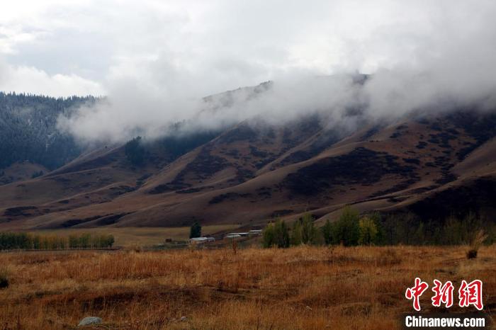 11月初，新疆昭苏高原清晨山间云雾缭绕，一派深秋的景色。　李文武　摄