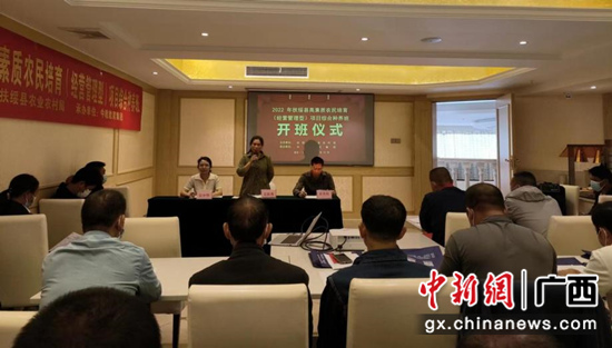 主办方 供图 主办方 供图