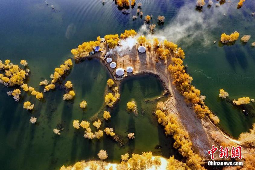 深秋时节是葫芦岛最美时节。秋风像调色板一般，染遍了塔里木河沿岸的胡杨和红柳，吸引众多摄影爱好者采风。胡俊建 摄