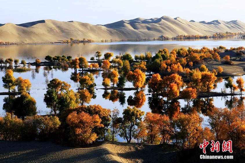 葫芦岛以大漠、胡杨、湖泊勾勒出一幅浑然一体的自然风光。 胡俊建 摄