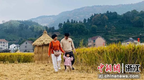 游客在稻田中漫步。钱晨菲 摄