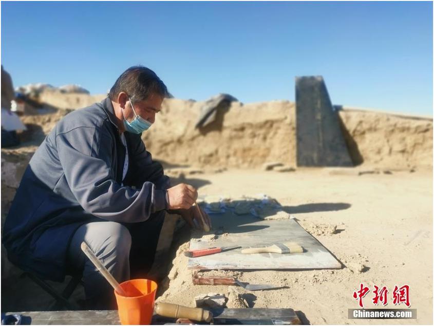图为10月7日，考古发掘现场。 中新社发 安涛 摄


