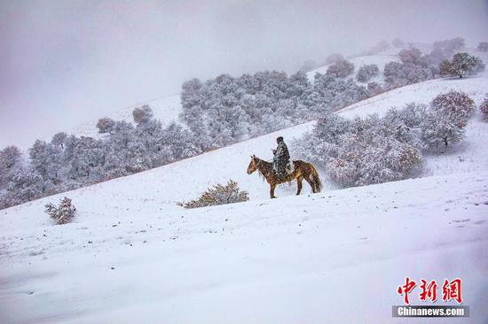 新疆新源县那拉提杏花谷迎来入冬后第一场雪
