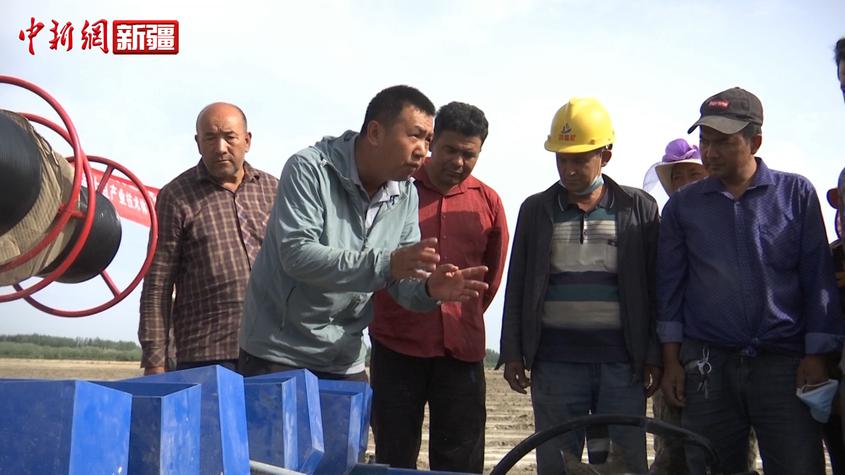新疆南部大豆試驗基地實現高產預期目標