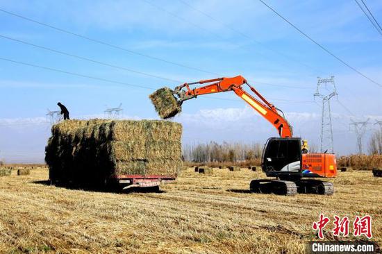 新疆兵团：土地季节流转助力民众增收