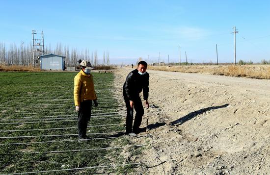 新疆兵团持续推进标准化农田建设