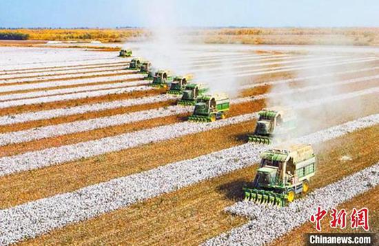新疆图木舒克市百万亩棉花进入成熟期，棉农们用大型机械抢收新棉，降低成本、增加收入(资料图)。　奉正云 摄