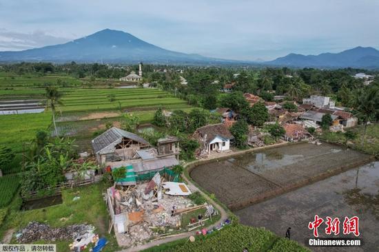 当地时间11月21日，印度尼西亚西爪哇省发生5.6级地震，西爪哇省省长表示，遇难者中大多是儿童。图为震中地区许多房屋、树木倒塌。据悉，在附近地区工作的民众接受采访时表示震感强烈，建筑物完全被夷为平地。另据美联社介绍，这一地区大约有175000居民，超过13000人的房屋在强震中遭到破坏，被迫离家避难。