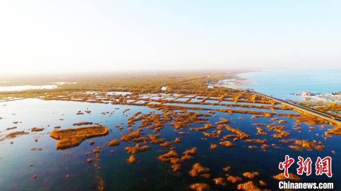 博斯腾湖是中国最大的内陆淡水湖，水域面积1646平方公里，水域辽阔，水产资源丰富。　都古尔加甫　摄