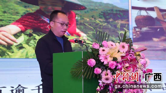 凌云县农业农村局局长田新推介凌雲白毫。