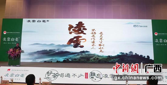 广西“凌雲白毫”品牌宣传推介会活动现场。