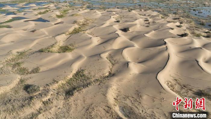 5萬畝“樹種球”飛播試驗造林在塔克拉瑪干沙漠邊緣實施