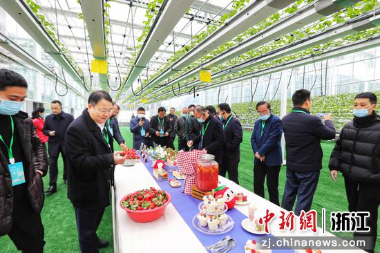 杭州市深化“千万工程”建设新时代美丽乡村现场会在建德召开。建德市委宣传部供图